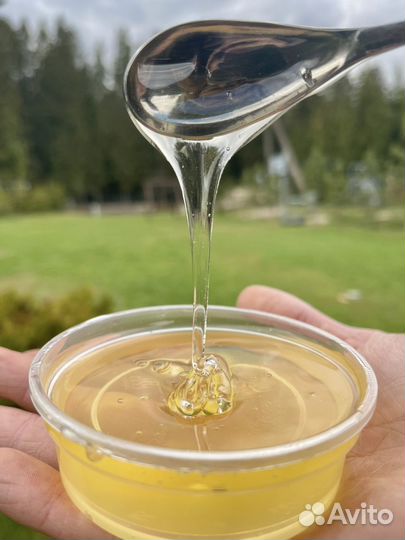 Мед (в ассортименте)