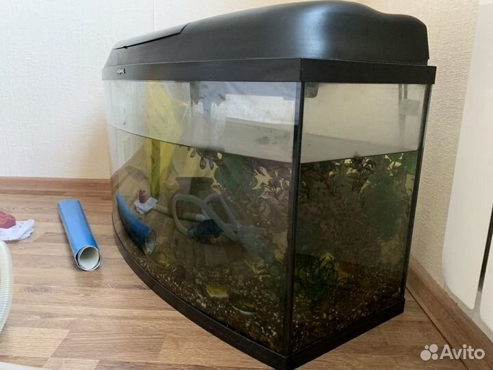 Аквариум на 60 литров