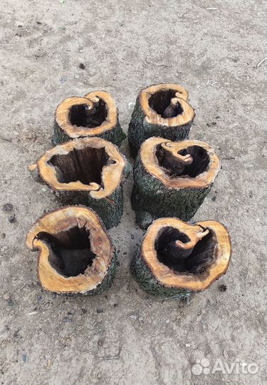 Спилы из ольхи. Деревянные пни для творчества