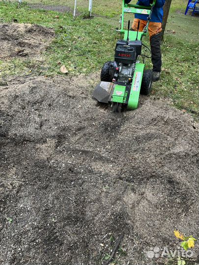 Спил деревьев