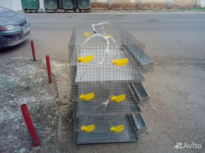 Клетка для перепелов на 150 штук
