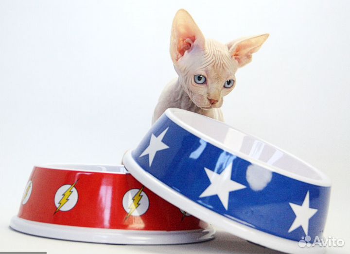 Бенедикт - он же Бенечка, Беня, Беняша, Бэн