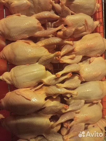 Мясо перепелок