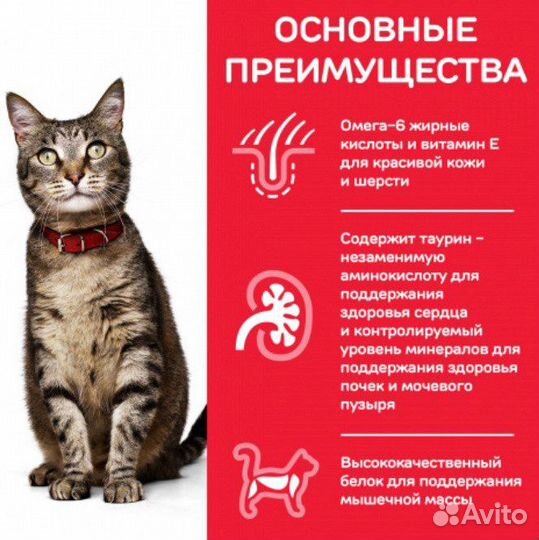 Сухой корм для кошек и собак 10 кг Hills