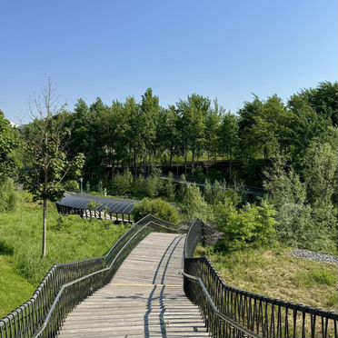 Чёрная Смородина Сколково