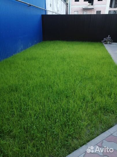 Гидропосевная установка