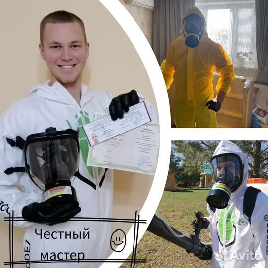 Уничтожение тараканов, клопов. Дезинфекция