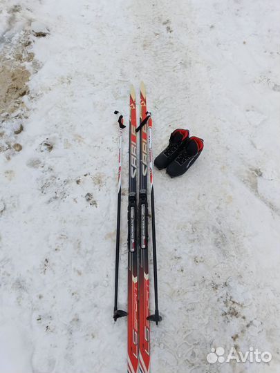 Беговые лыжи