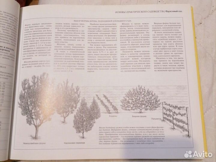 Атлас автомобильных дорог России