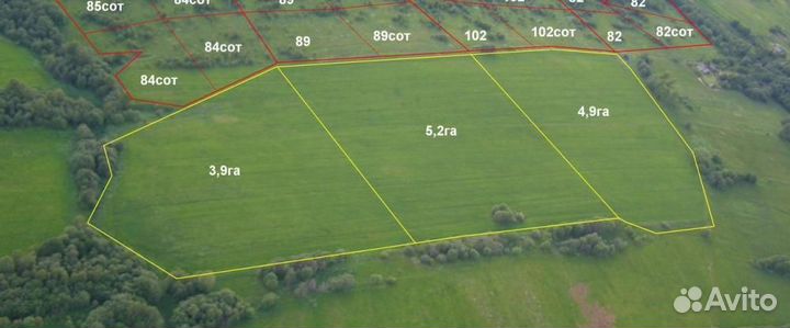 Геодезист. Вынос границ зу в натуру. Межевание