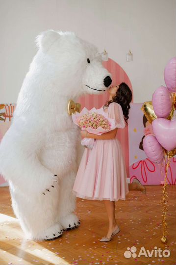 Белый медведь аниматор