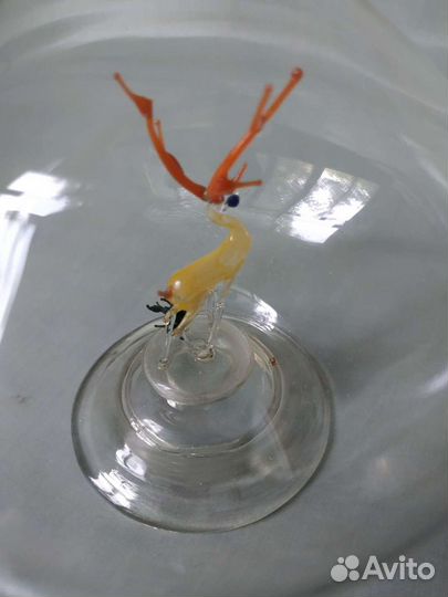 Стеклянный графин с оленем внутри