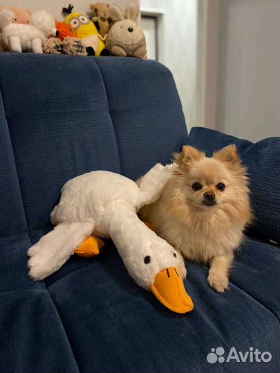 Мягкая игрушка Гусь обнимусь