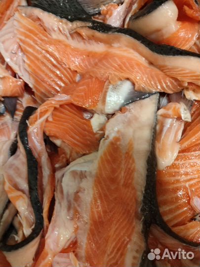 Обрезь Лосося Свежая