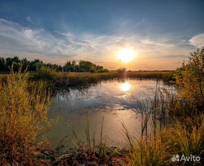 Фото на холсте. Печать картин и портретов. Арт-903