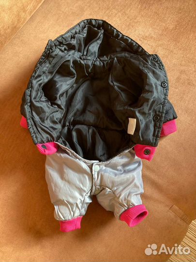 Одежда для собак