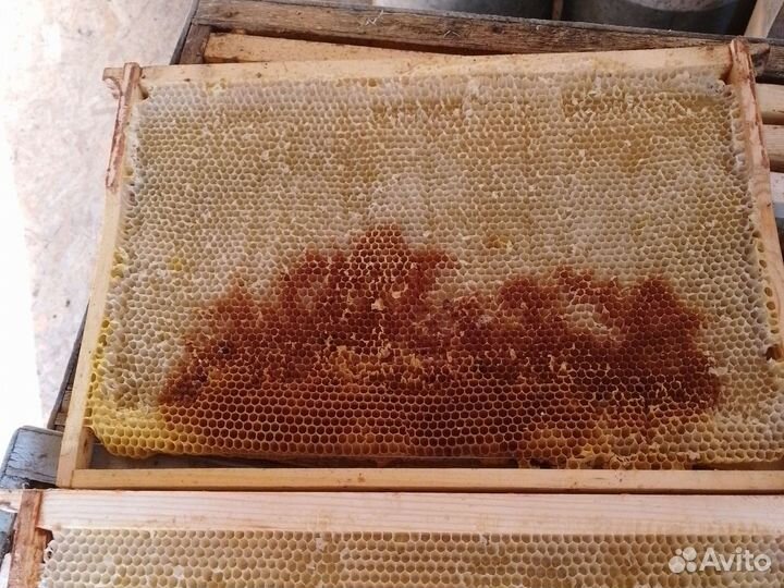 Сушь для пчел