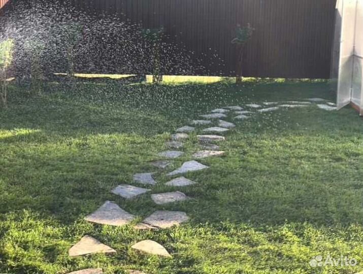 Газон. Рулонный газон