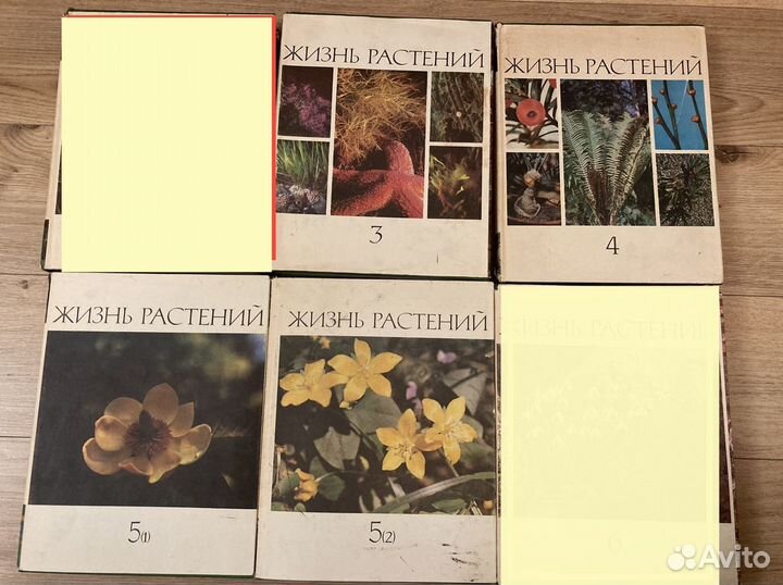 Книги по биологии Книги о комнатных растениях