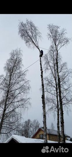 Спил деревьев, расчистка участков