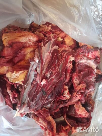 Обрезь мясная говядина