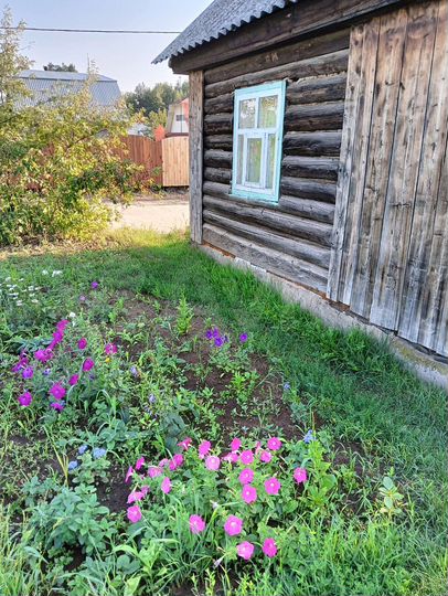 Дача 12 м² на участке 4 сот.