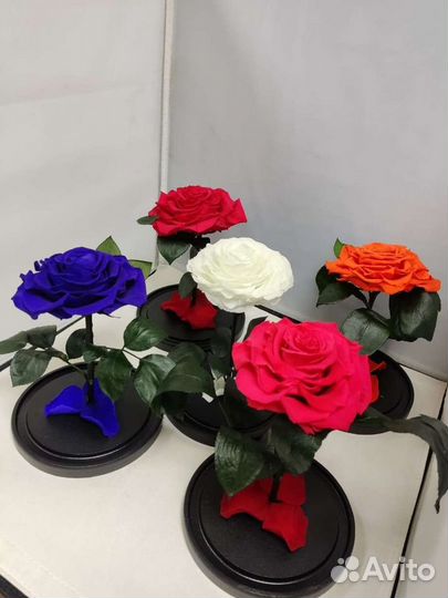 Роза в колбе оптом