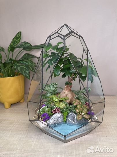 Флорариум с водоемом