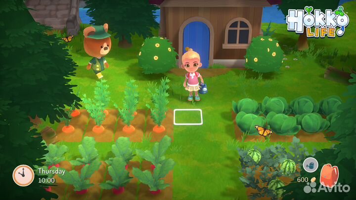 Hokko Life Nintendo Switch