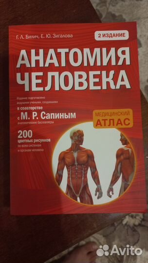 Анатомия человека