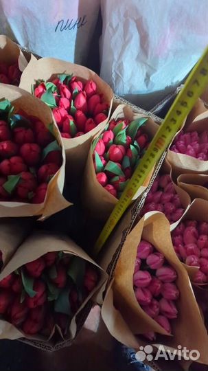 Тюльпаны к 8 марта