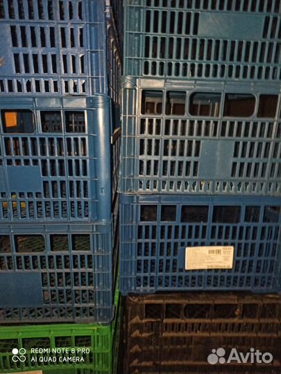 Ящик пластиковый