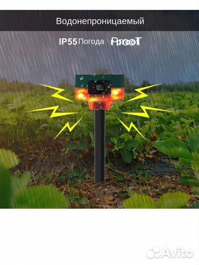 Охранная сигнализация для дома, отдыха