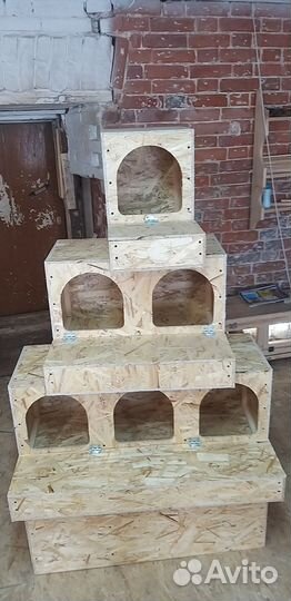 Гнездо для кур с яйцесборником