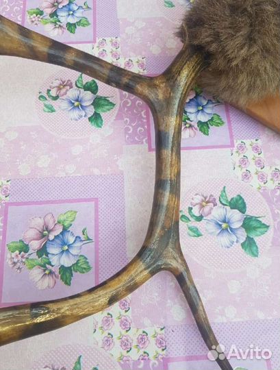 Продам рога оленя