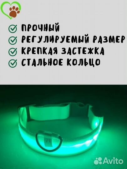 Светящийся ошейник для собак