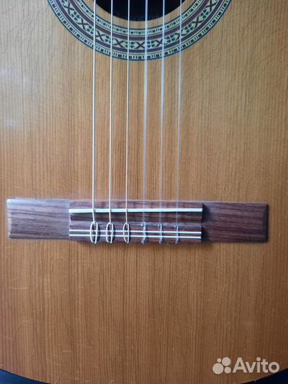 Гитара Musima Resonata из первых рук