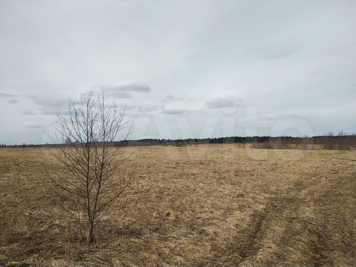 Участок 65 сот. (ИЖС)