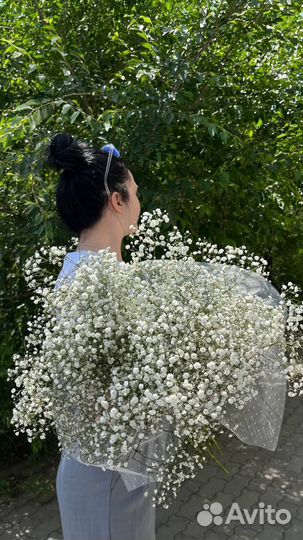 Гипсофила доставка бесплатно