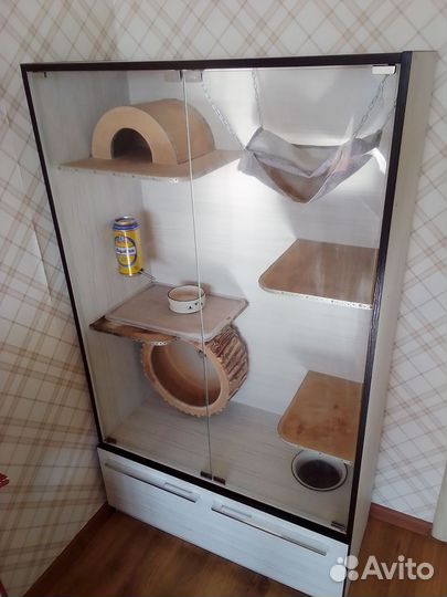 Витрина для шиншилл
