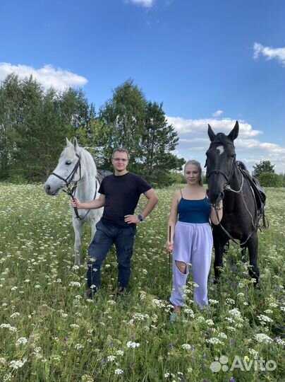 Прокат лошадей, конные прогулки