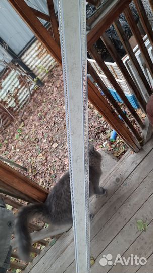 Карнизы потолочные закругленные