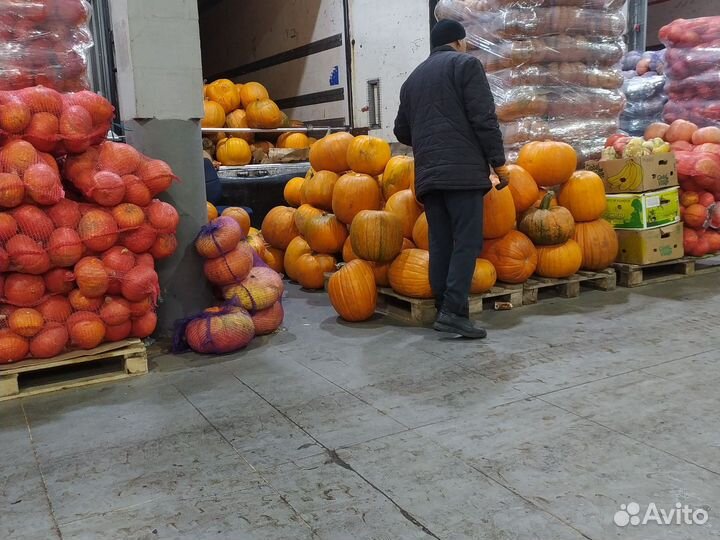 Тыква на хэллоуин