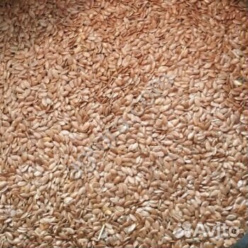 Семена льна