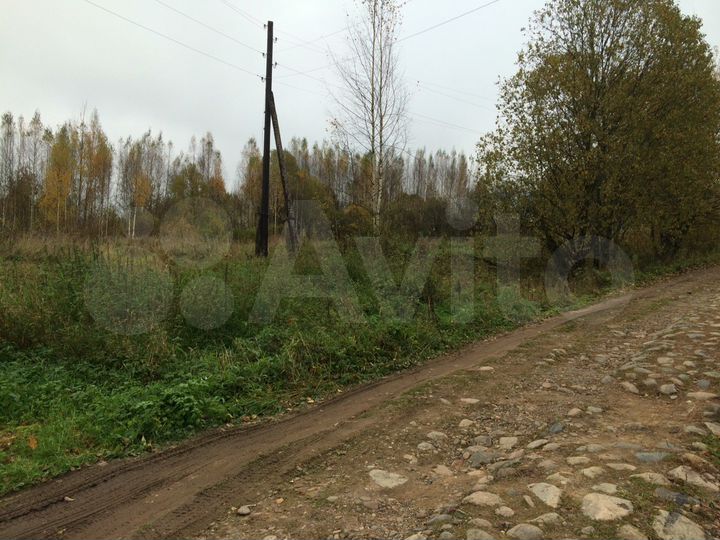 Участок 50 сот. (СНТ, ДНП)