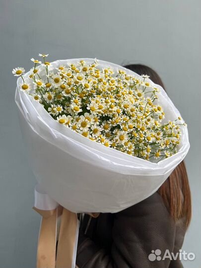 Ромашки (букет из цветов)