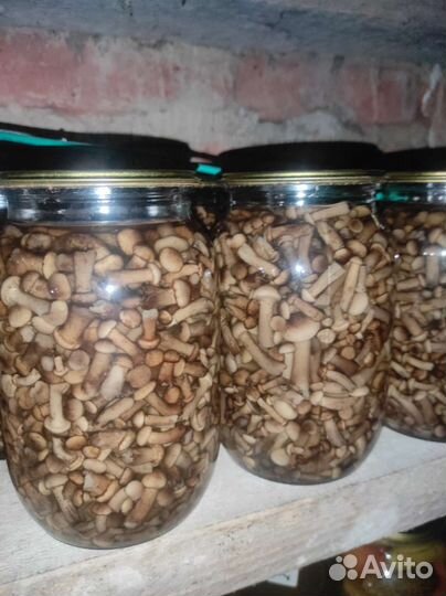 Домашняя консервация