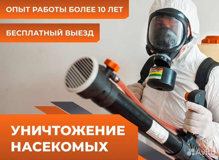 Уничтожение тараканов, клопов: бесплатный выезд