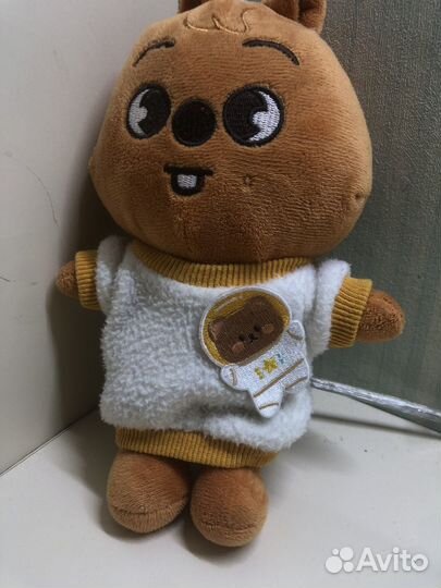 Одежда для skzoo