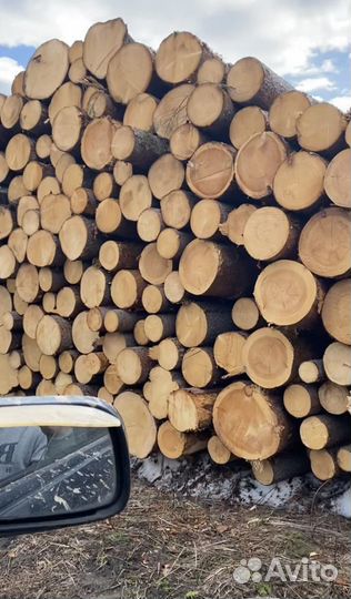 Лес кругляк пиловочник